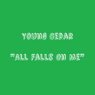  Young Cedar - All Falls On Me