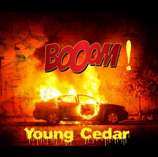  Young Cedar - BOOM!