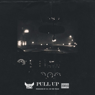  ripp_flamez_pull_up