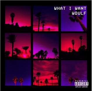  WOULF - What I Want (Prod. by Antoine Christopher)
